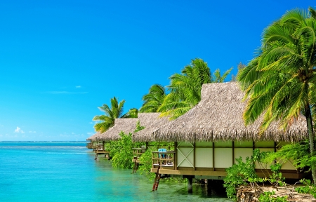 艺术摄影作品 - 创意艺术照